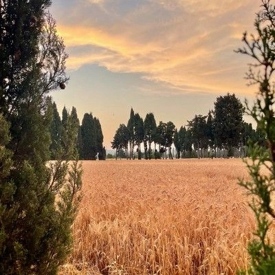 masdehautecampagne_com_Extérieur_43 masdehautecampagne_com_Extérieur_43