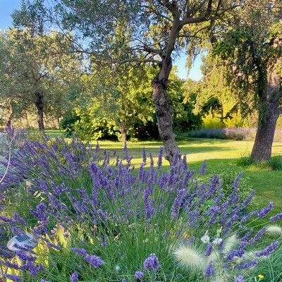 masdehautecampagne_com_Extérieur_45 masdehautecampagne_com_Extérieur_45